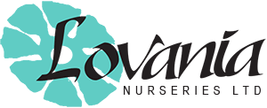Lovania Nurseries Ltd